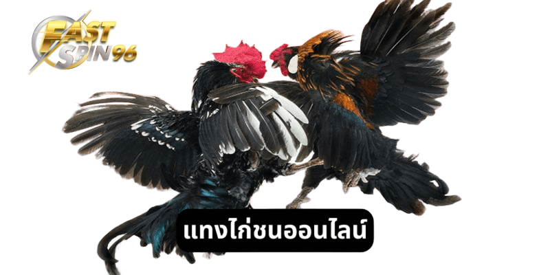 FS96TH แทงไก่ชนออนไลน์
